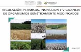 REGULACIÓN, PERMISOS, INSPECCION Y VIGILANCIA DE ... · México (Permisos de Liberación al Ambiente) 2005-2014 ... sistema de cultivo Potencial Productivo Respuesta al cambio de