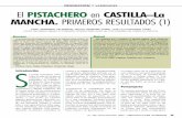 PRODUCCIÓN Y VARIEDADES PISTACHERO en CASTILLA–La …perabi.com/documentos/11-Fruticultura_135_El_pistachero_en_Castilla-La_Mancha.pdfLa introducción del pistachero en Castilla–La