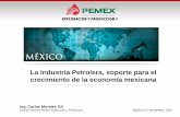 La Industria Petrolera, soporte para el crecimiento de la ...Ing. Carlos Morales Gil Director General, PEMEX Exploración y Producción México D.F. Noviembre, 2013 La Industria Petrolera,