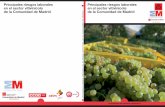 BVCM019005 Principales riesgos laborales en el sector vitivinícola · 2015-04-23 · Principales riesgos laborales en el sector vitivinícola 11 2. Principales riesgos laborales