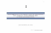 MANIFESTCÓN EIMPACTOBIENTAL MODALIPRTICULARsinat.semarnat.gob.mx/dgiraDocs/documentos/pue/estudios/... · 2014-02-13 · Hidrograma Unitario Triangular, para un periodo de retorno