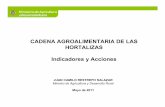 CADENA AGROALIMENTARIA DE LAS HORTALIZAS Indicadores y ... · selecciÓn de cultivares competitivos de berenjena para mercados nacionales y de exportaciÓn corpoica fnfh 120.383.000