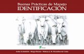 Buenas Prácticas de Manejo IDENTIFICACIÓNgrupoetco.org.br/arquivos_br/manuais/manual_buenas... · La identificación individual de los bovinos es un paso importante para cualquier