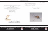 Serie de divulgación sobre insectos Cuadernillo nº 8 - Año 2013 - Nélida Jofré de ...produccion-animal.com.ar/fauna/Fauna_insectos/08... · 2014-12-23 · Ciclo de vida Este
