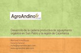 Desarrollo de la cadena productiva de aguaymanto …...Desarrollo de la cadena productiva de aguaymanto orgánico en San Pablo y la región de Cajamarca Reinhard Schedlbauer Gerente