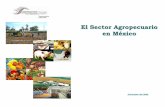El Sector Agropecuario en México - Odepa · pesos generados en la economía del país. ... en vigor del TLCAN México ha firmado 12 TLC’s con 43 países. •Se cuenta con un mercado