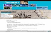CONCEPTOS GEOMÉTRICOS - Discovery en la Escueladiscoveryenlaescuela.com/wp-content/uploads/2017/06/100geometricos.pdf · Este video nos muestra cómo el sistema de coordenadas ha