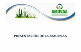 PRESENTACIÓN DE LA AMUVVAA - AMUVAA Asociación Mexicana ...amuvaa.com.mx/3-presentacion-amuvaa2_taller-profepa-15-julio-2010_rev3.pdf · La Asociación Mexicana de Unidades de Verificación