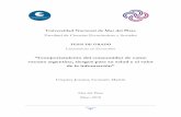 vacuna argentina, riesgos para su salud y el valornulan.mdp.edu.ar/2945/1/urquiza-2018.pdf · derivados de la adquisición de carne vacuna en los locales de venta minorista: la limpieza
