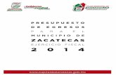 GOBIERNO MUNICIPAL DE ZACATECAS 2013-2016 · municipio de Zacatecas. La visión de este Gobierno Municipal es una visión integral, encauzada en metas definidas, las cuales se encuentran