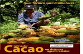 Cultivo del Cacao en Sistemas Agroforestalescanacacao.org/wp-content/uploads/Cultivo-de-cacao-en...El cultivo de Cacao en sistemas agroforestales, es una actividad productiva para