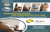 KINESIOLOGÍA NEUROMUSCULAR · La Kinesiología Neuromuscular Integrativa® es uno de los sistemas de Kinesiología más avanzados y especializados en el campo estructural. Que mejor