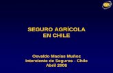 SEGURO AGRÍCOLA EN CHILE · representan el 90% de los cultivos en Chile, clasificados en seis rubros: - Cereales. - Cultivos Industriales. - Hortalizas. - Leguminosas. - Invernaderos.