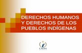 DERECHOS HUMANOS Y DERECHOS DE LOS PUEBLOS INDÍGENAS · 2018-05-22 · El artículo 2° de la CPEUM establece que los pueblos indígenas son autónomos para “elegir de acuerdo