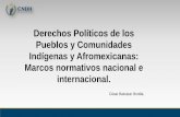 Derechos Políticos de los Pueblos y Comunidades Indígenas y …escuelapueblosindigenas.cndh.org.mx/assets/doc/Ponencias/... · 2019-08-21 · Los pueblos indígenas, en ejercicio