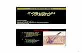 ENFERMEDADES FÚNGICASelearning.up.pt/ppayo/MCAC DERMA 14-15/PROGRAMA/PDF AULAS/FUNGICA… · 1.-Dermatofitosis (tiñas) • Enfermedad micótica causada por Microsporum spp, Trichophyton