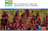 El cultivo de la quínoa en Chilebiblioteca.inia.cl/medios/biblioteca/boletines/NR41416.pdfproyecto “Adaptación de la quínoa para alimentos infantiles y galletas”. Este proyecto