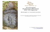 Tortugas Dulceacuícolas del Uruguay...tortugas de agua dulce son la destrucción de su hábitat y la extracción de ejemplares de la naturaleza. La desecación de bañados y el uso