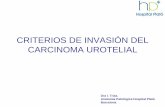 CRITERIOS DE INVASIÓN DEL CARCINOMA UROTELIAL · 2012-07-13 · signo de no invasiÓn. otros criterios invasiÓn. la respuesta estromal “artefacto” de retracciÓn alrededor del