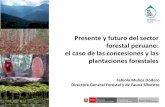 Presente y futuro del sector forestal peruano: el caso de ... · Fabiola Muñoz Dodero Directora General Forestal y de Fauna Silvestre Presente y futuro del sector forestal peruano: