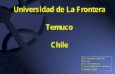 Universidad de La Frontera Temuco Chile · Universidad de La Frontera Temuco, Chile . Antecedentes Región de La ... La Facultad de Medicina de la Universidad de La Frontera define