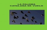 LA PALOMA CATALANA DE VUELO - clubcolomvolcatala.orgclubcolomvolcatala.org/.../02/ESTANDAR_DE_LA_PALOMA... · La paloma de “Vol Català” . Orígenes históricos Debemos buscar