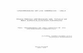 UNIVERSIDAD DE LAS AMERICAS - UDLA TESIS PREVIA …dspace.udla.edu.ec/bitstream/33000/4081/1/UDLA-EC-TMAEF-2008-03.pdf · distribución, venta y comercialización de toda clase de