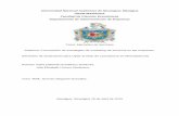 Universidad Nacional Autónoma de Nicaragua; Managua UNAN ...repositorio.unan.edu.ni/3936/1/3153.pdf · los cuales constituyen la demanda, y vendedores que ofrecen un determinado