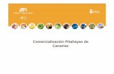 Comercialización Pitahayas de CanariasEl Fruto : Es una baya compuesta por brácteas de forma ovoide y globosa. Posee una pulpa dulce que tiene gran diversidad de colores, que va