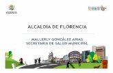 ALCALDÍA DE FLORENCIA - cosesam.org. mallerly gonzalez arias. municipio de florencia.pdf · Falta de recursos para fortalecer la contratación del Talento Humano y garantizar la