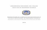 UNIVERSIDAD NACIONAL DEL CALLAOoraa.unac.edu.pe/OfArchivo/CU-2014/098-14-CU... · En busca de un resurgimiento y mejoramiento en la industria nacional con proyección a nivel internacional,