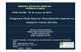 Programa Flock-Reprod: Reproducción caprina en cualquier ... · R 6LWLR$UJHQWLQRGH3URGXFFLyQ$QLPDO JORNADA DE OVINO-CAPRINO. INTEROVIC-SEOC. SIAG. Sevilla. 26 de marzo de 2014 Programa