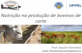 Nutrição na produção de bovinos de corte · *% NDT – nutrientes digestíveis totais (expressa fração energética) Variação da composição pode ser originária: Fazenda
