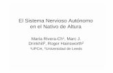 El Sistema Nervioso Autónomo en el Nativo de AlturaEl Sistema Nervioso Autónomo en el Nativo de Altura María Rivera-Ch1, Marc J. Drinkhill2, Roger Hainsworth2 1UPCH, 2Universidad