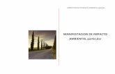 MANIFESTACION DE IMPACTO AMBIENTAL particularconsultaspublicas.semarnat.gob.mx/expediente//mex/... · MANIFESTACION DE IMPACTO AMBIENTAL particular ... por tratarse de una obra del