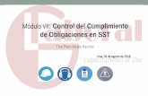 Módulo VII: Control del Cumplimiento de Obligaciones en SST · de Obligaciones en SST Tino Piero Vargas Raschio Lima, 04 de Agosto de 2018. ... Causas Inmediatas.- Son aquellas debidas