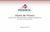 Visión de PemexMaximización del valor económico de forma sustentable Exploración y Explotación Transformación Industrial Distribución y Comercialización Temas transversales