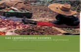 Las ramificaciones sociales del sector alimentario informal · 2008-03-05 · 2005: 1). Los niños que preparan y venden alimentos en las calles de zonas metropolitanas representan
