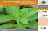 Establecimiento y mantenimiento - Stevia Endulzante ... Paquete Tecnolأ³gico Estevia (Stevia rebaudiana)