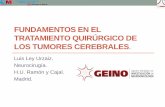 FUNDAMENTOS EN EL TRATAMIENTO QUIRÚRGICO DE LOS … Ley - Fundamentos... · •Los gliomas cerebrales son tumores heterogéneos y dinámicos, por lo que es necesario un seguimiento