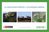 LA LEGISLACIÓN FORESTAL Y LOS BOSQUES ANDINOS · Ecosistema en que predominan especies arbóreas en cualquier estado de desarrollo, cuya ... ECOSISTEMA DE VEGETACIÓN SILVESTRE 14