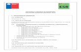 PROPUESTA CONVENIO DE DESEMPEÑO EDUCACIÓN SUPERIOR …dfi.mineduc.cl/usuarios/MECESUP/File/2018/instrumentos/... · 2019-04-10 · necesidades de los diversos grupos de interés