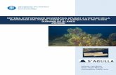 SISTEMA D’INFORMACIÓ GEOGRÀFICA APLICAT A L’ESTUDI DE LA BIOCENOSIS … · 2018-09-19 · Sistema d’Informació Geogràfica aplicat a l’estudi de la biocenosis del coral·ligen
