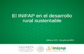 El INIFAP en el desarrollo rural sustentable · chile) y Frutales (naranja, limón, ... • De 2004 a 2013 el INIFAP obtuvo 227 Registros de Variedades Vegetales • 130 de granos