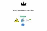03. NUTRICIÓN Y METABOLISMOdepa.fquim.unam.mx/microbio/1410MG-06/T-Presentaciones/Tema03/T-03... · 3 o compuestos de amoniaco: NH 4 Cl, (NH 4) 2 SO 4 ASIMILADORES Usan nitrógeno