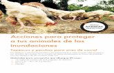 Acciones para proteger a tus animales de las inundaciones · 2018-11-21 · Acciones para proteger a tus animales de las inundaciones Tapescos y perchas para aves de corral Materiales
