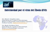 Enfermedad por el virus del Ébola (EVE)uvsfajardo.sld.cu/sites/uvsfajardo.sld.cu/files/enfermedad_por_el_virus_ebola.pdf · El ministro cubano del Minsap el 12 de septiembre, en