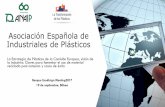 Asociación Española de Industriales de Plásticosbem2017.basqueecodesigncenter.net/wp-content/uploads/2017/09/P5... · septiembre de 2017 2 ANAIP es la Asociación nacional que