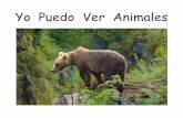 Yo Puedo Ver Animales - oer2go.orgoer2go.org/mods/es-mustardseedbooks/Content/Spanish/YoPuedoVerAnimales… · Yo puedo ver un mono. 8 . The Mustard Seed Books project uses an open-source,
