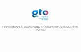 transparencia.guanajuato.gob.mx · 2016-04-28 · Promover la ejecución de Proyectos Territoriales e Integrar e impulsar proyectos de inversión, así como los servicios de apoyo